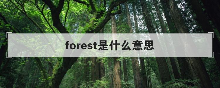forest是什么意思森林地面森林地表森床